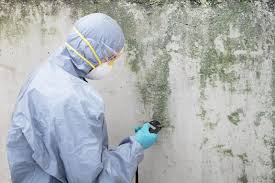 Best Crawl Space Mold Remediation  in Los Molinos, CA